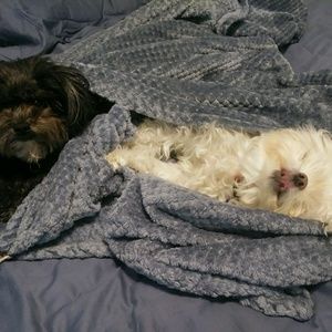 Meet your Posher, Wendy